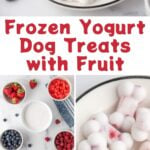 Homemade frozen yogurt dog treats with fruit and the ingredients to make them.