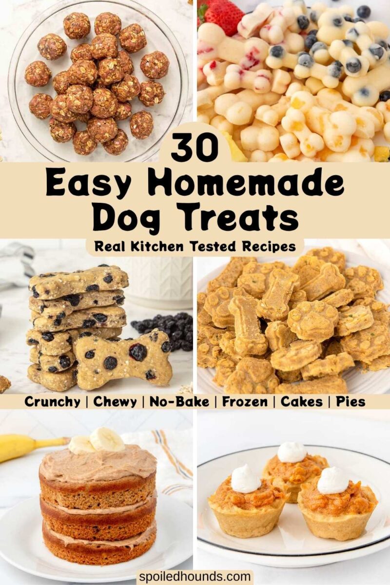 Various homemade dog treats including crunchy, soft, no-bake, frozen, cake, and pie.