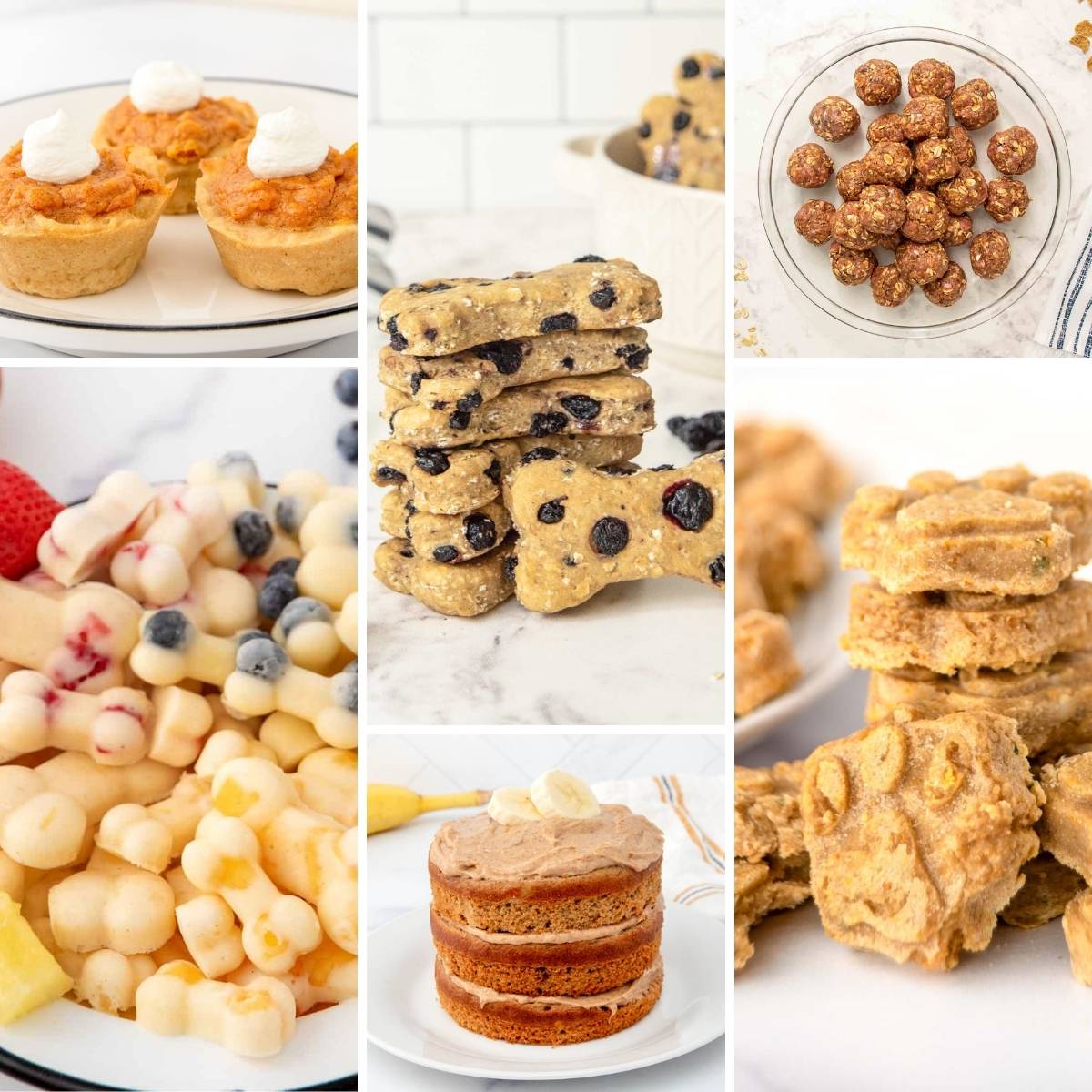 An assortment of homemade dog treats that are crunchy, soft, no-bake, frozen, cake, and pie.
