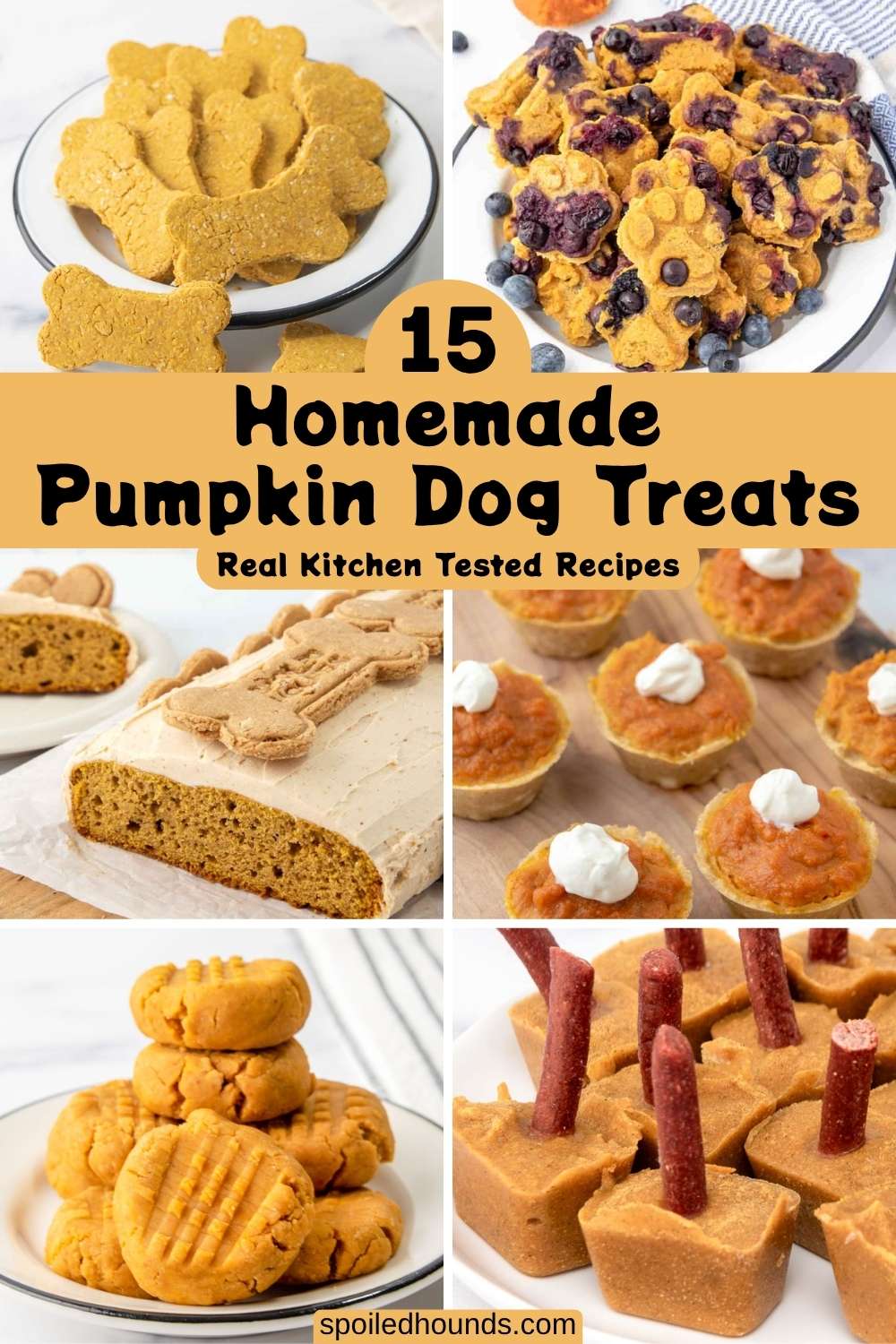 Homemade pumpkin dog treats, cake, pie, and popsicles.