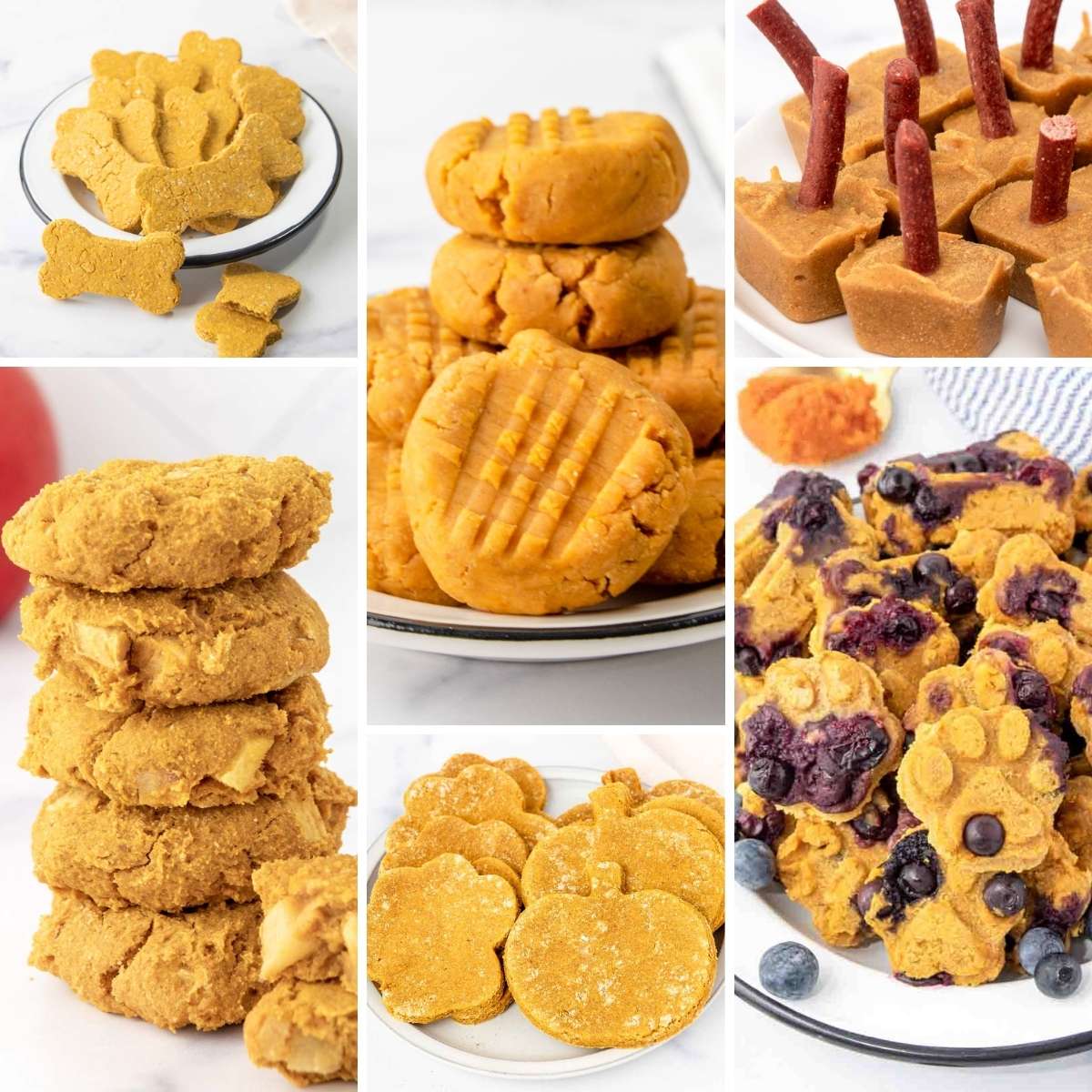Homemade pumpkin dog treats, cookies, and popsicles.