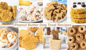 Peanut butter dog treats that are baked, no-bake, frozen, and desserts.