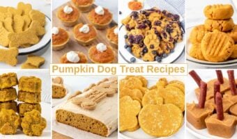 Various homemade pumpkin dog treats, cake, pie, and popsicles.