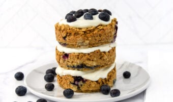 A 3 layer blueberry cake for dogs made with oats and applesauce frosted with yogurt.
