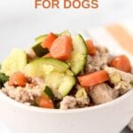 Ground chicken and veggie bake for dogs in a bowl.