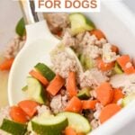 Ground chicken and veggie bake for dogs and a serving spoon in a casserole dish.