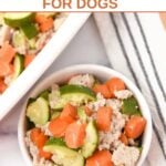 Ground chicken and veggie bake for dogs in a casserole dish and a serving in a bowl.