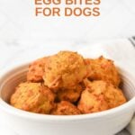 Air fryer sweet potato egg bites for dogs in a dog bowl.
