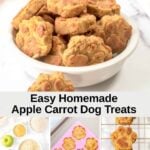 Homemade apple and carrot dog treats, the ingredients, and baking them.