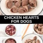 Cooked chicken hearts on a plate, raw ones in a bowl, and cooking them in a pot.