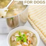 Homemade chicken soup for dogs in a large pot and a small bowl.