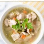 A bowl of homemade chicken vegetable soup made for dogs.