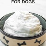 Homemade whipped coconut cream for dogs in a dog bowl.