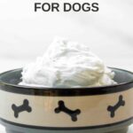 Homemade whipped cream for dogs in a small dog bowl.
