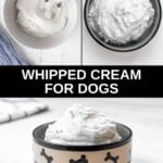 Whipping coconut cream and the whipped cream in a dog bowl.