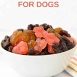 A bowl of fruity homemade gummy bears made for dogs.