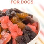 Homemade fruity gummy bears made for dogs in a bowl.
