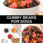 Homemade gummy bears and the ingredients to make them.