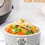 Instant Pot chicken and rice with veggies for dogs in a dog bowl.