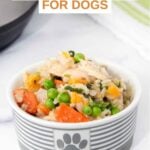 Instant Pot chicken and rice for dogs in a small dog bowl.