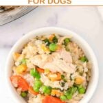 Instant Pot chicken and rice with veggies for dogs.