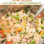 Chicken and rice with veggies for dogs in an Instant Pot.