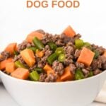 A bowl of homemade lamb and sweet potato dog food.