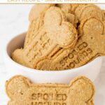 Crunchy homemade peanut butter dog biscuits in a small bowl and one in front of it.