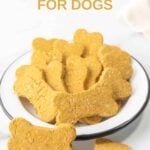 Homemade pumpkin cookies for dogs in a bowl, one in front of it, and another broken in half.