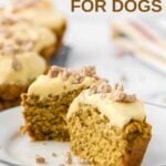 A pumpkin cupcake made for dogs cut in half on a plate.