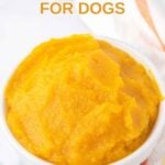 A bowl of homemade pumpkin puree made for dogs.