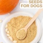 A pumpkin and ground pumpkin seeds in a small bowl.