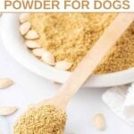 Homemade pumpkin seed powder made for dogs on a spoon and in a bowl.