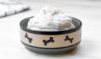 Homemade whipped coconut cream in a dog bowl on a marble surface.