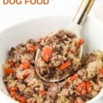 Homemade air fryer beef and carrot dog food with quinoa in a bowl and on a spoon.