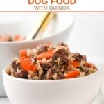 Homemade air-fried beef, carrot, and quinoa dog food in bowls.