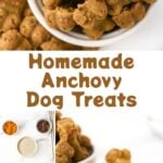 Homemade anchovy dog treats, the ingredients, and baked in molds.