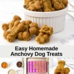 Homemade anchovy dog treats, the ingredients, and baked in a mold.