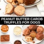 No-bake peanut butter carob truffles for dogs and the ingredients to make the candy treats.