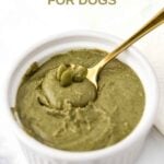 Homemade pumpkin seed butter for dogs and a spoon in a small bowl.