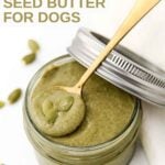 Homemade pumpkin seed butter for dogs and a spoon in a mason jar.