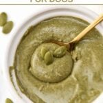 Homemade pumpkin seed butter for dogs in a jar and a spoon in it.