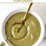 A bowl of homemade pumpkin seed butter for dogs and a few seeds on it.