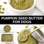 A bowl of pumpkin seed butter, raw and roasted seeds, and processing them.