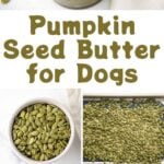 A jar of pumpkin seed butter and pumpkin seeds.